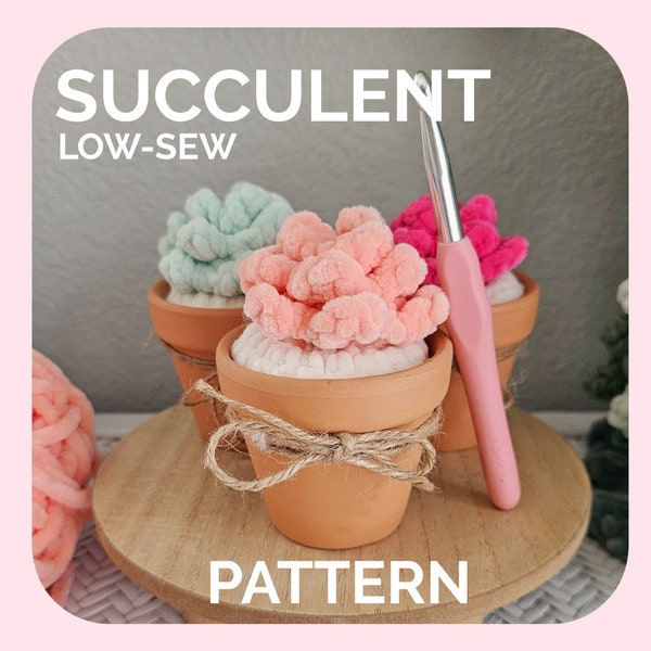 Succulent | CROCHET PATTERN | Instant Download PDF | Low Sew | Succulents