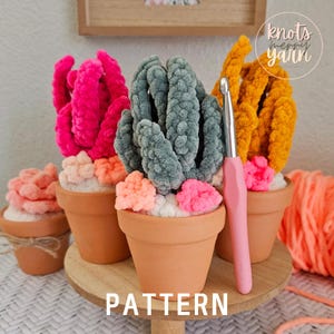 Puede incluir: Un patrón de crochet para tres plantas suculentas de colores en macetas de terracota. El patrón se llama "Knots Merry Yarn".