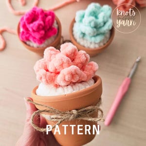 Modèle au crochet de succulentes, couture basse, amigurumi, cactus, téléchargement PDF, noeudsMerryYarn