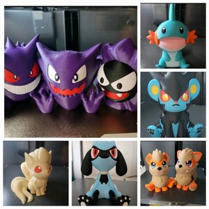 May include: A collection of 3D printed Pokemon figures, including a purple Gengar, a blue and black Houndoom, a blue and white Lucario, a brown Eevee, and a blue and pink Squirtle.