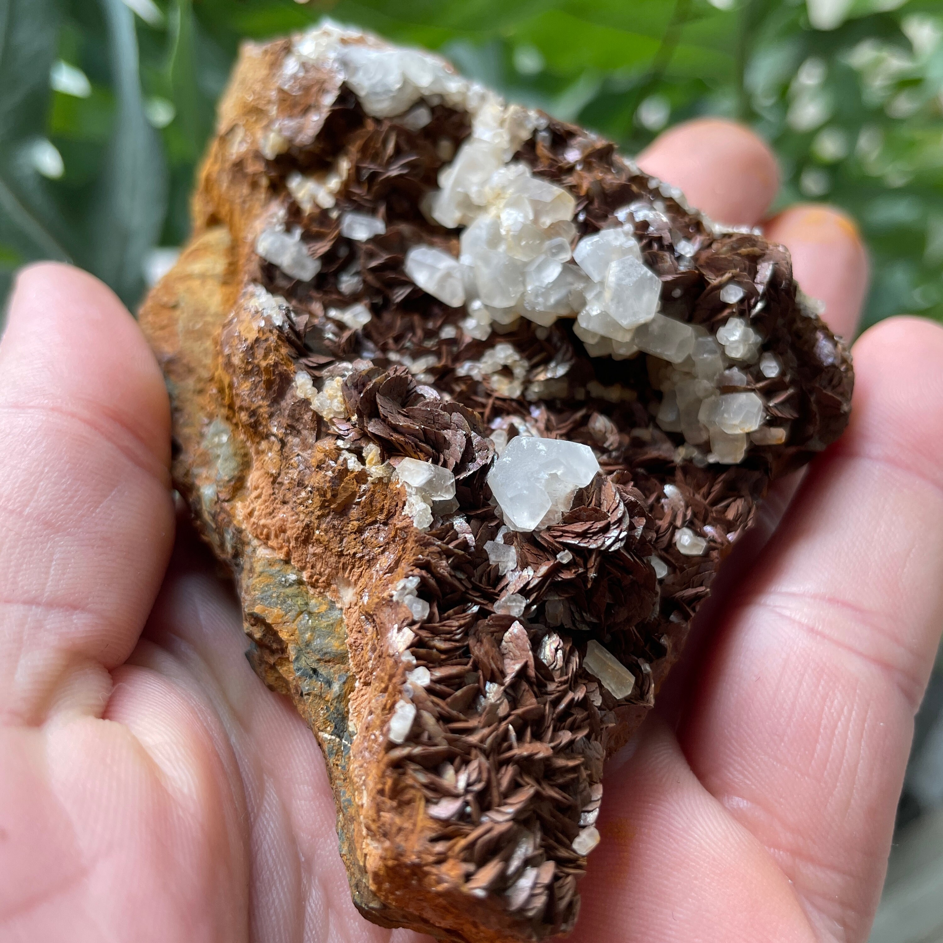 Calcites sur Sidérite Oxydée, Peyrebrune, France, Pierre Brute, Minéral de Collection