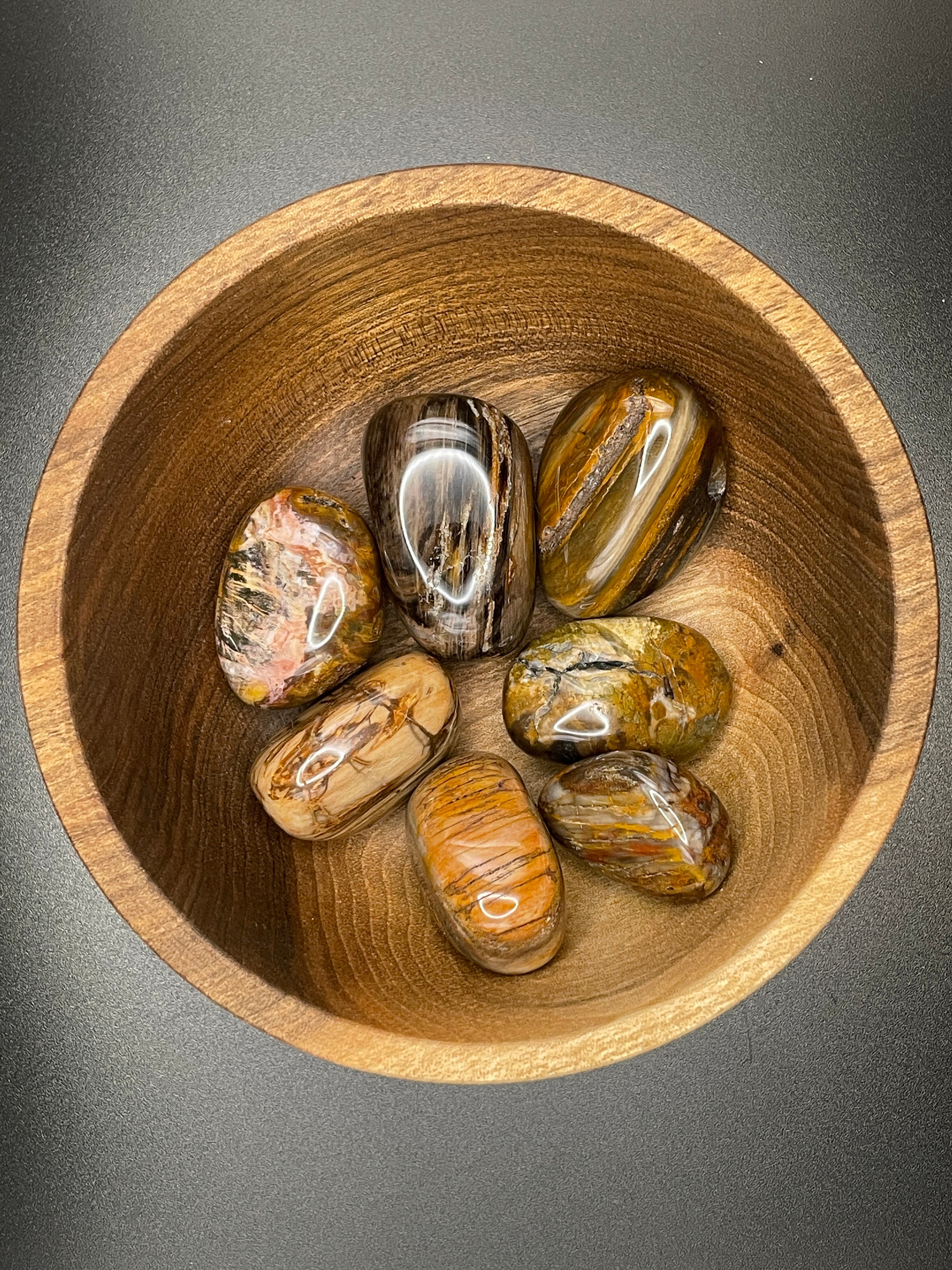 Bois Fossile, Pierre Roulée, Naturelle, Madagascar