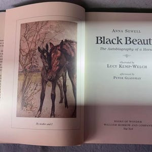 Black Beauty Books of Wonder Sewell image 4