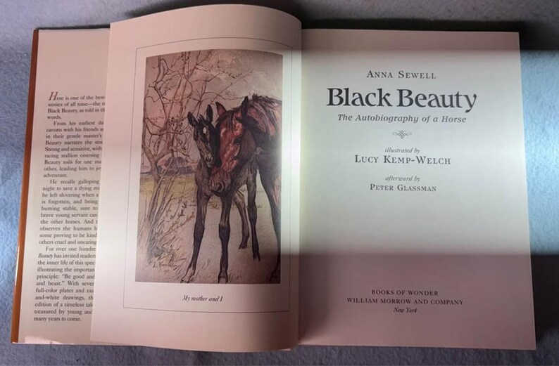 Black Beauty Books of Wonder Sewell image 4
