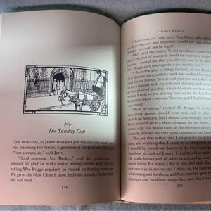 Black Beauty Books of Wonder Sewell image 7