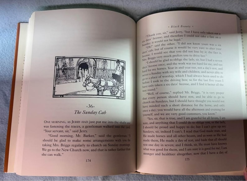 Black Beauty Books of Wonder Sewell image 7