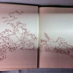 Black Beauty Books of Wonder Sewell image 3