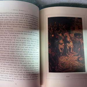 Black Beauty Books of Wonder Sewell image 6