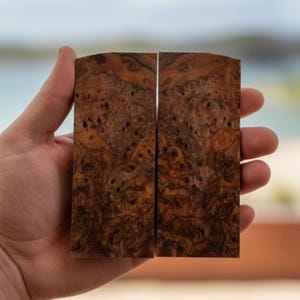 Könnte beinhalten: Zwei Stücke Maserholz, dunkelbraun mit komplexen Mustern und natürlicher Textur. Das Holz hat kleine Löcher und Wirbel, gehalten in einer Hand. Das Holz ist wahrscheinlich für Bastelarbeiten oder Holzarbeiten gedacht.