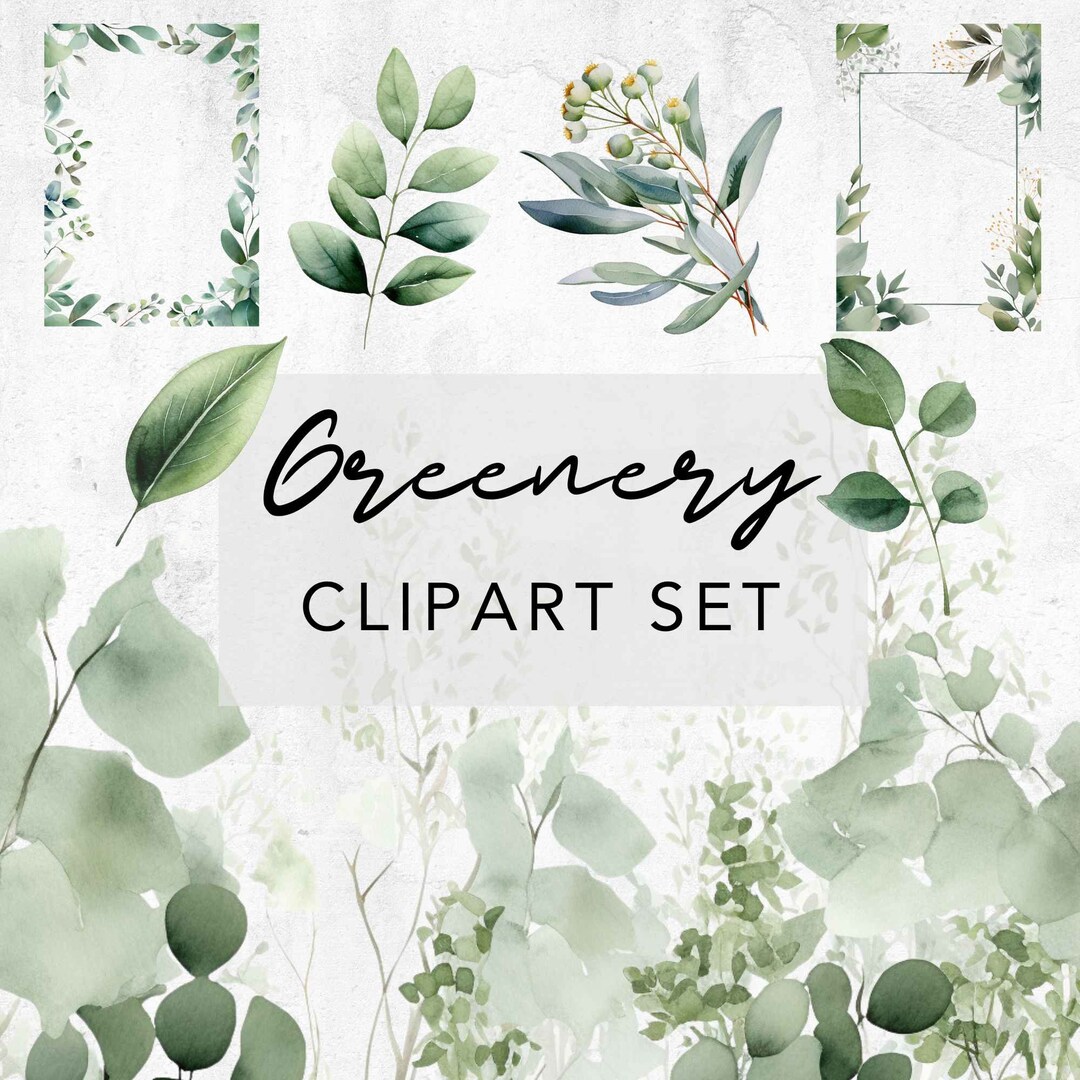 Watercolor Greenery Clipart Set: Eucalyptus Foliage (300 DPI, PNG ...