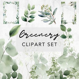 Greenery clipart for wedding invitation, eucalyptus clipart, foliage clipart, greenery png, watercolor greenery,  greenery clipart, 300 dpi