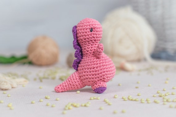 Dinosaur Crochet Kit for Adults, Beginner Crochet Kit, Animal Amigurumi DIY  Craft Kit 