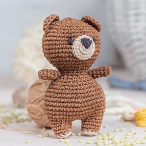 Teddy Bear Crochet Kit for Adults, Beginner Crochet Kit, Animal Amigurumi DIY Craft Kit