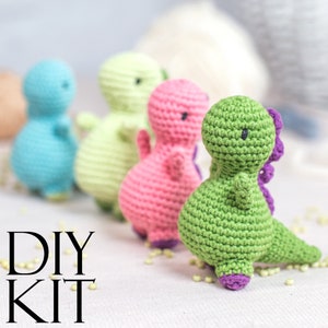 Dinosaur Crochet Kit for Adults, Beginner Crochet Kit, Animal Amigurumi DIY Craft Kit