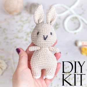 Bunny Crochet Kit for Adults, Beginner Crochet Kit, Animal Amigurumi DIY Craft Kit