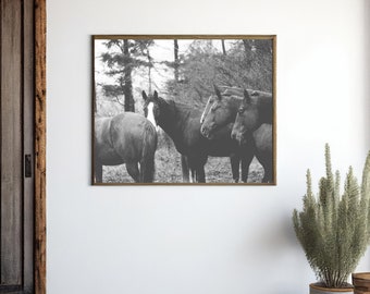 Black and White Horse Photography Print, Modern Farmhouse Wall Art