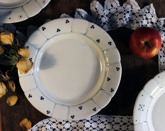 Può includere: Piatti in ceramica bianca con bordi smerlati e un motivo floreale blu. I piatti sono decorati con piccoli puntini neri e un bordo blu. Sono visibili anche una mela rossa e rose gialle essiccate.