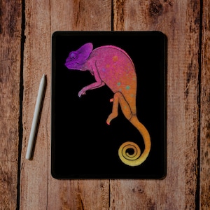 chameleon print, house warming gift, animal print, reptile, animal art, Mother’s Day gift, lizard, chameleon print, Father’s Day gift