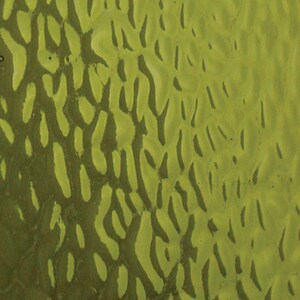 May include: Close-up of a textured surface with a mottled pattern in shades of olive green and darker green. The surface has a slightly uneven appearance, with organic shapes and lines.