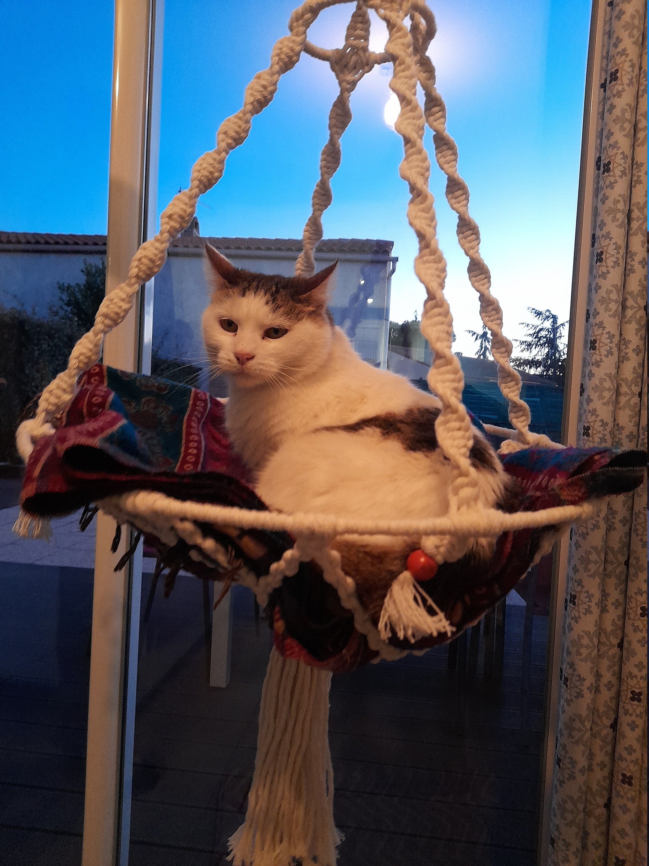 Hamac Pour Chat