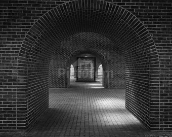 Bricked Arches ShelbyRMc