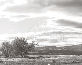 Heart Mountain ShelbyRMc