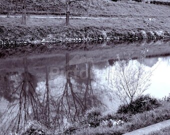 Ein kleines FLuss