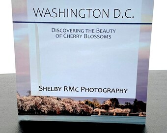 Washington, D.C. | Discovering the Beauty of Cherry Blossoms