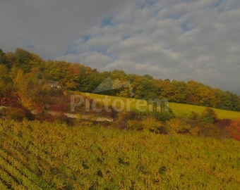 Seasonal Changes