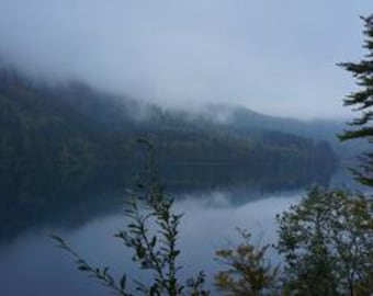 Die Wolke schweben darueber