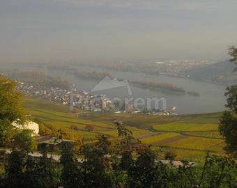 Eine Flussinsel