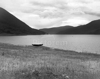 Lonely 1 ShelbyRMc