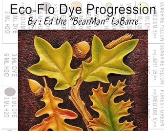 Eco-Flo Dye Progression Including Dye Formulas and Step by Step pictures.