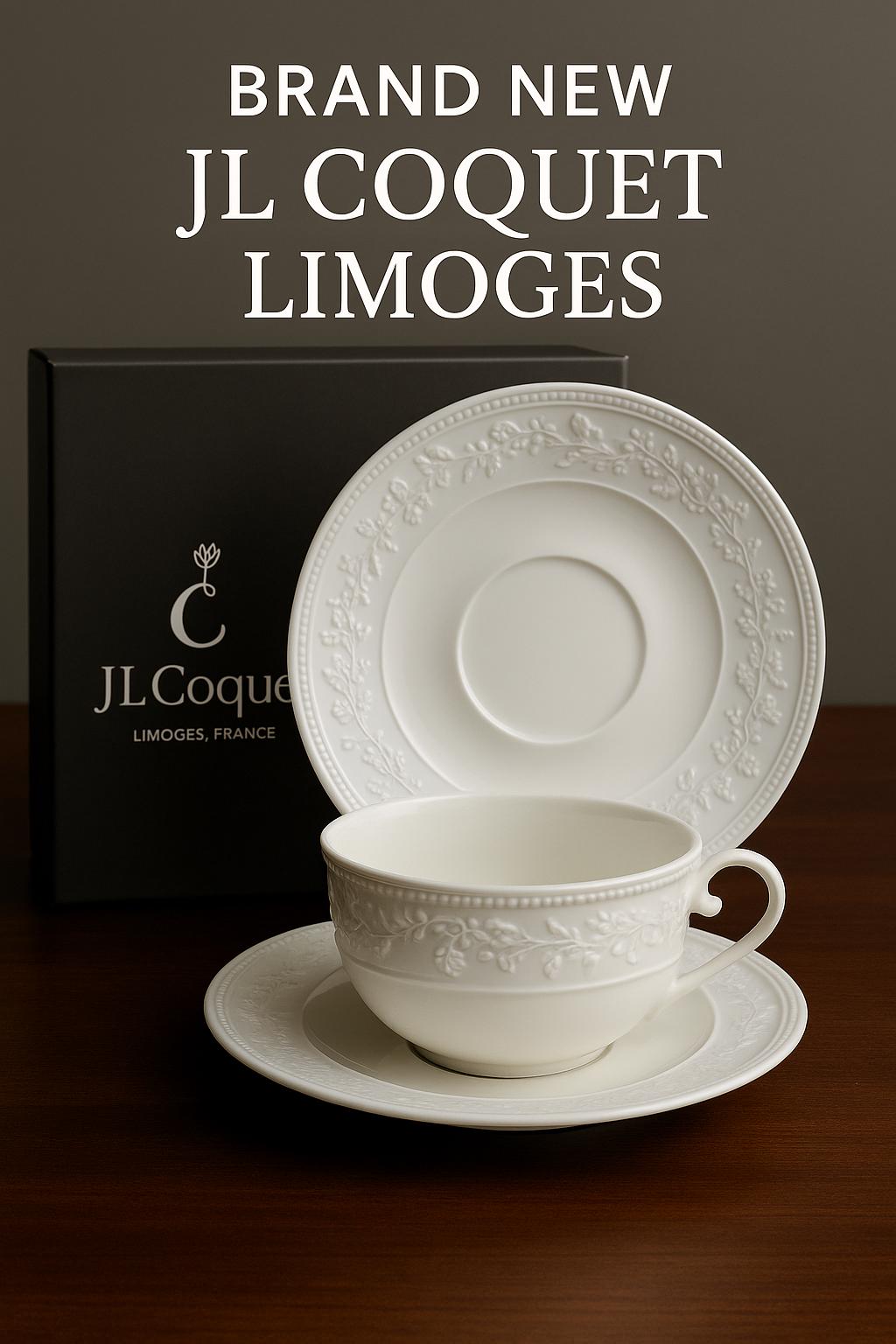 J・L Coquet  LIMOGES 30pc JL Coquet Limoges 6 Piece Service for 4, Hemisphere
