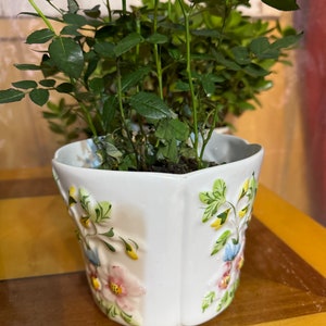 Può includere: Un vaso di ceramica bianca con un design floreale con fiori rosa, gialli e blu. Il vaso è riempito con una piccola pianta verde con fiori bianchi.