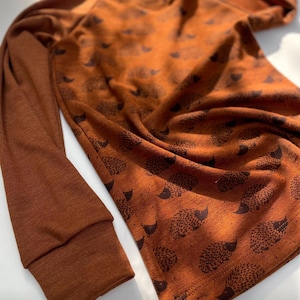 Wool Silk Long Sleeve Shirt Merino Wool Sweater Merino Wool Kids Shirt, Cinnamon Hedgehog