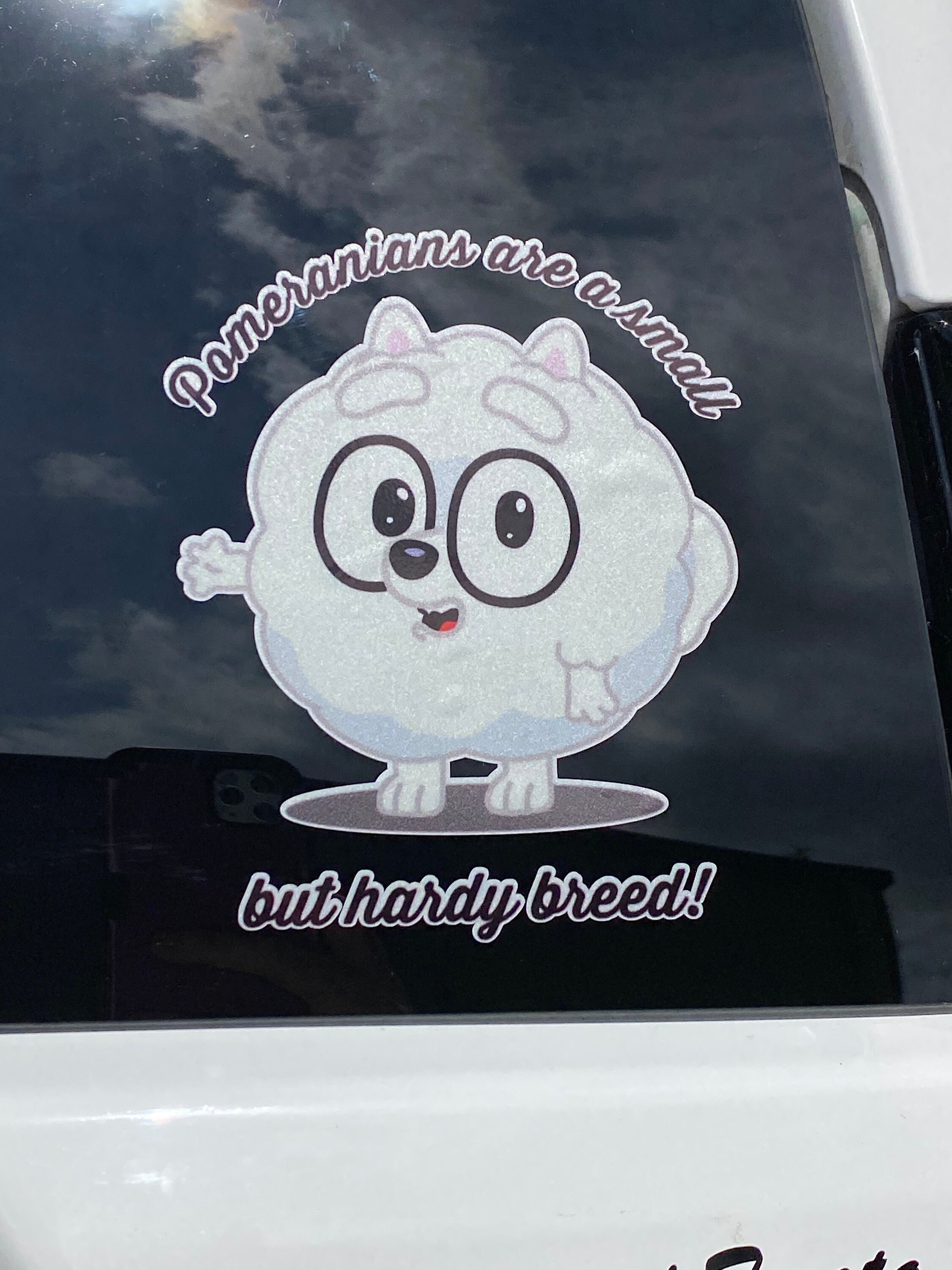 Pomeranians Are A Small But Hardy Breed Car Sticker Etsy