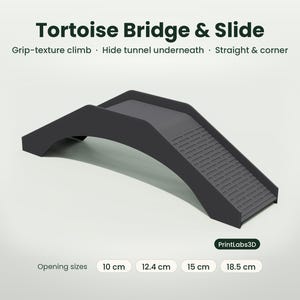 Tortoise Ramp & Slide Straight