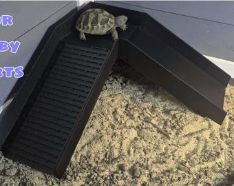 Tortoise Ramp & Slide Corner