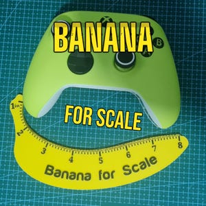 Banana for Scale World Famous Fun Prop & Decorative Item Perfect for Photography and Social Media Posts Unique Gift Idea