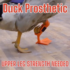 Custom Duck Prosthetic Leg Upper leg strength needed Please read description and message with pictures