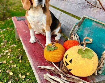 Abóboras de Halloween. Decore sua casa com este projeto rápido e fácil!