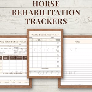 Horse Rehabilitation Tracker | Daily & Weekly Treatment Logs (Printable PDF)