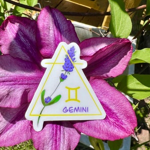 May include: A white triangle sticker with a yellow outline and a purple flower with blue blossoms. The sticker has the Gemini zodiac symbol and the word "GEMINI" printed on it.