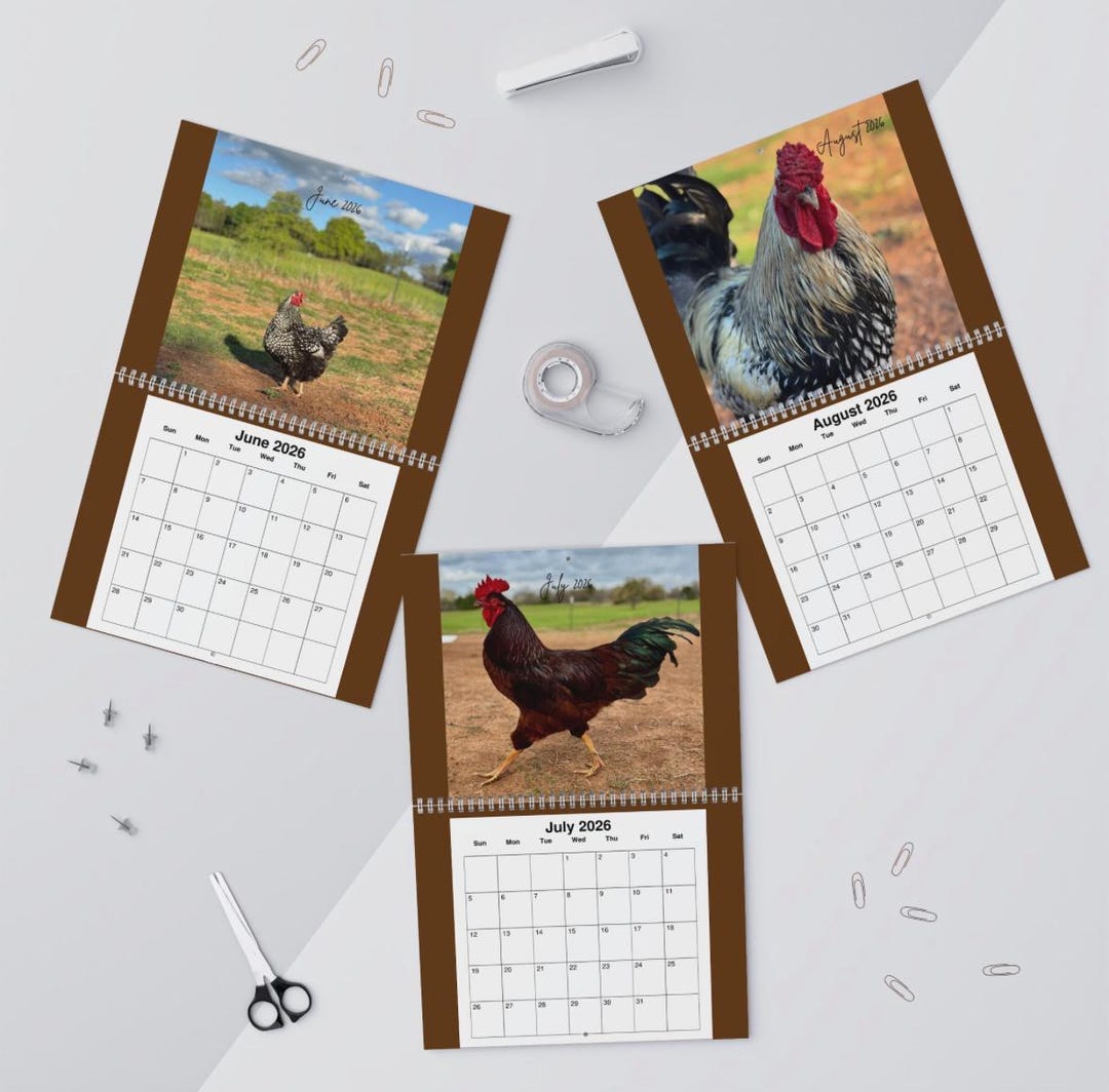 Charming Chicken Wall Calendar - Monthly Planner, Farmhouse Decor, Gift ...