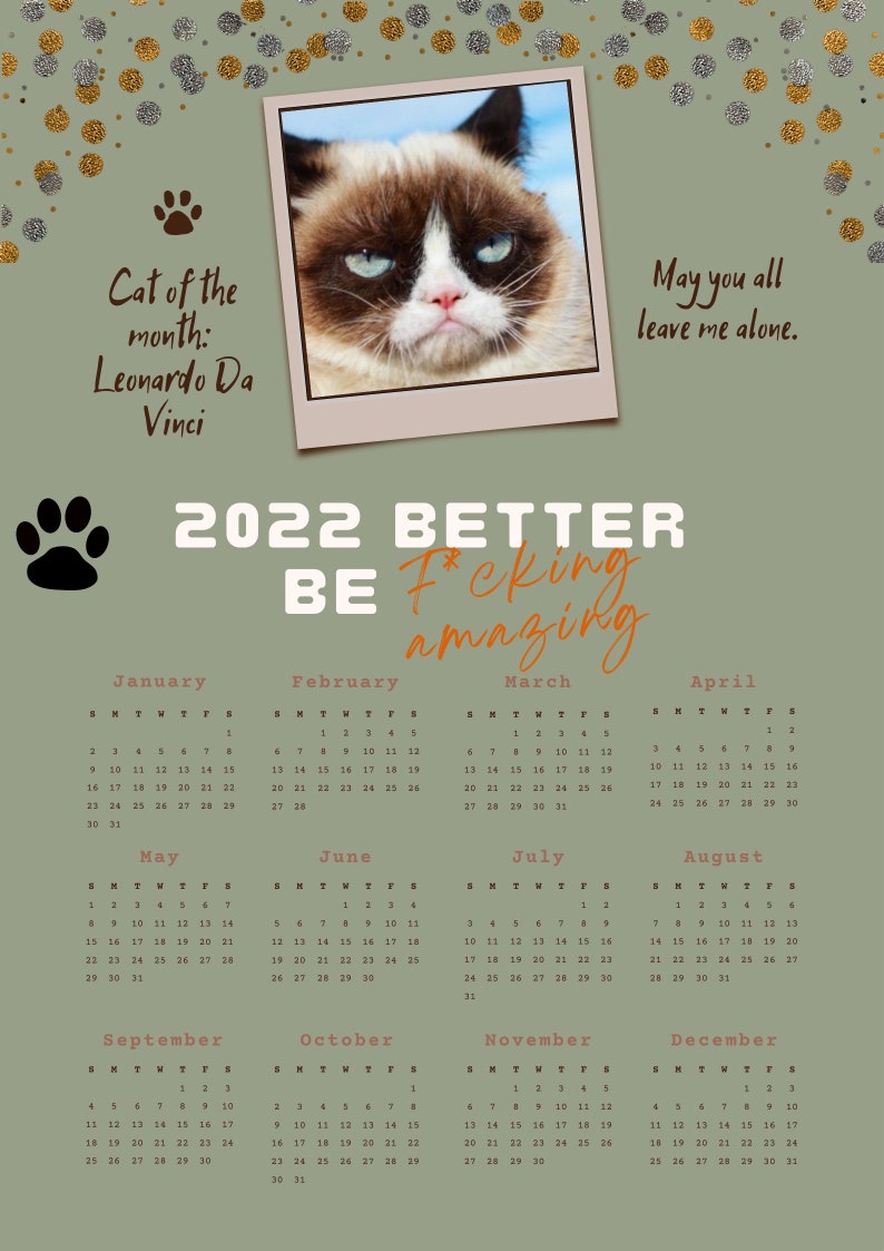 Funny Cat Calendar Etsy