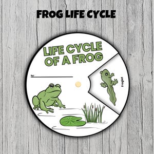 Frog Life Cycle, frog lifecycle spinning wheel for Early Elementary, kindergarten, 1st grade