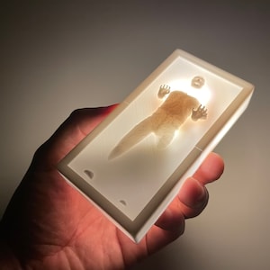 Han Solo in Carbonite 3cm X 5cm X 10cm 3D Printed light box