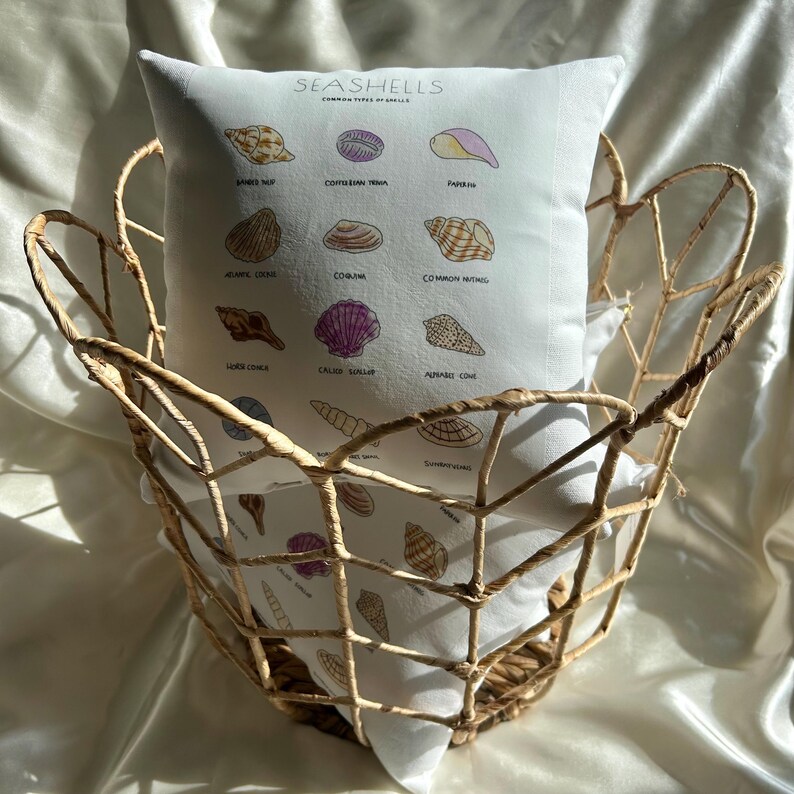 May include: A white pillow with a seashell diagram inside a woven basket. The pillow features illustrations of various seashells with their names. The basket is made of light brown woven material. The pillow is labeled "SEASHELLS COMMON TYPES OF SHELLS."