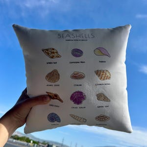 May include: A white square pillow with a print of various seashells, labeled with their common names. The text "SEASHELLS" is at the top, with "COMMON TYPES OF SHELLS" below it. The pillow is held up against a blue sky.